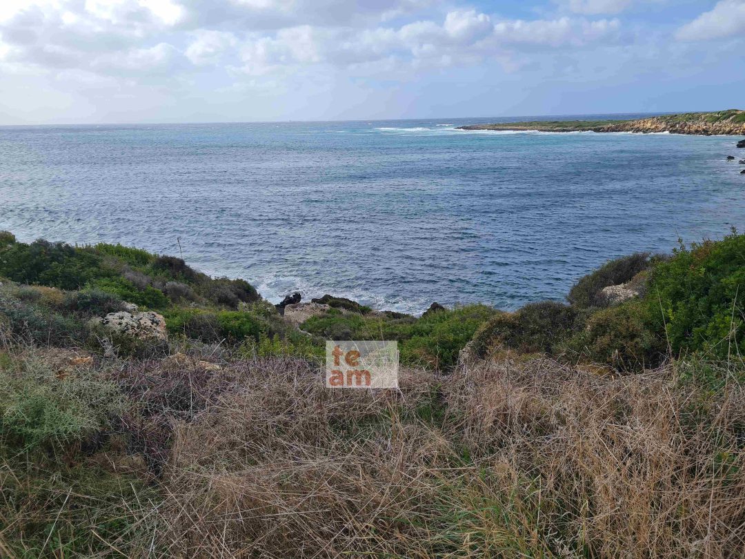Παραθαλάσσιο αγροτεμάχιο – Χαβριάτα