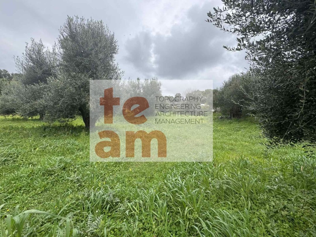 Οικόπεδο 1316,29 m2 στα Σπαρτιά